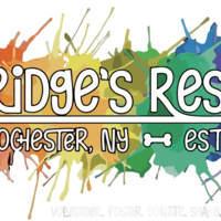 RidgesRescue Thumbnail